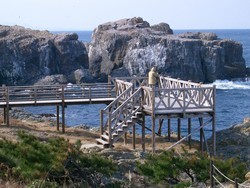 うみねこの島