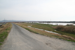 斐伊川土手