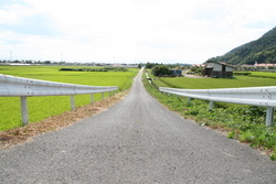 大社　遥堪地区の田園風景①