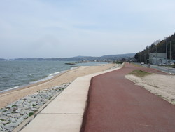 白鳥海岸①