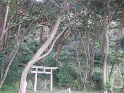 神社　（美保関）