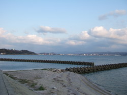 宍道湖湖岸