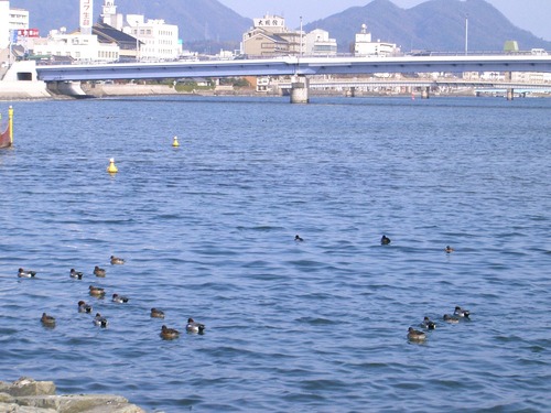 宍道湖風景