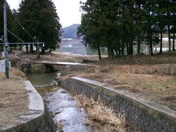 千本ダム