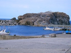 うみねこの島