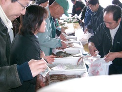恵曇朝市
