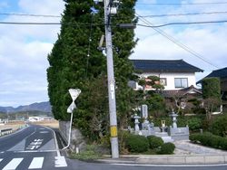 築地松