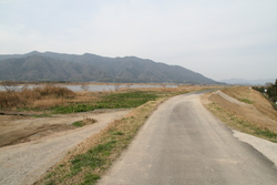 斐伊川土手