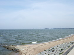 白鳥海岸①