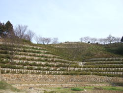 造山公園①
