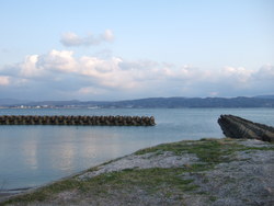 宍道湖湖岸