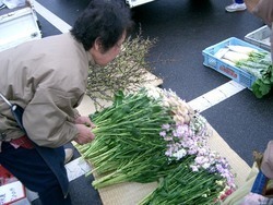 水辺の朝市