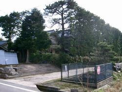 築地松