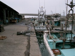 古浦漁港