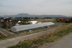 斐伊川土手