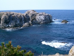 うみねこの島