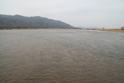 斐伊川土手