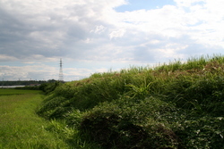 大社　遥堪地区の田園風景①